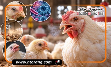 خس خس سینه مرغ؛ علت چیست و چه زمانی باید نگران شد؟